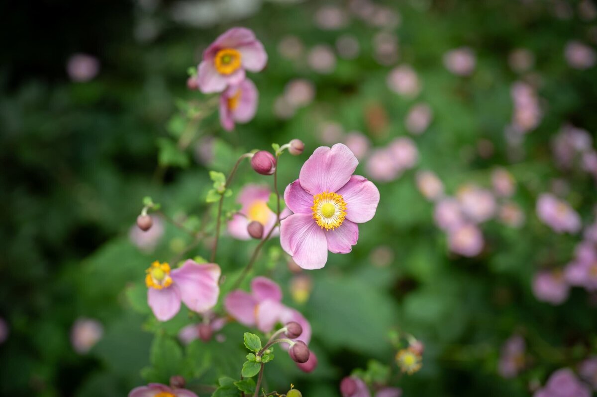 grandrapidsweddingphotographer-lk3