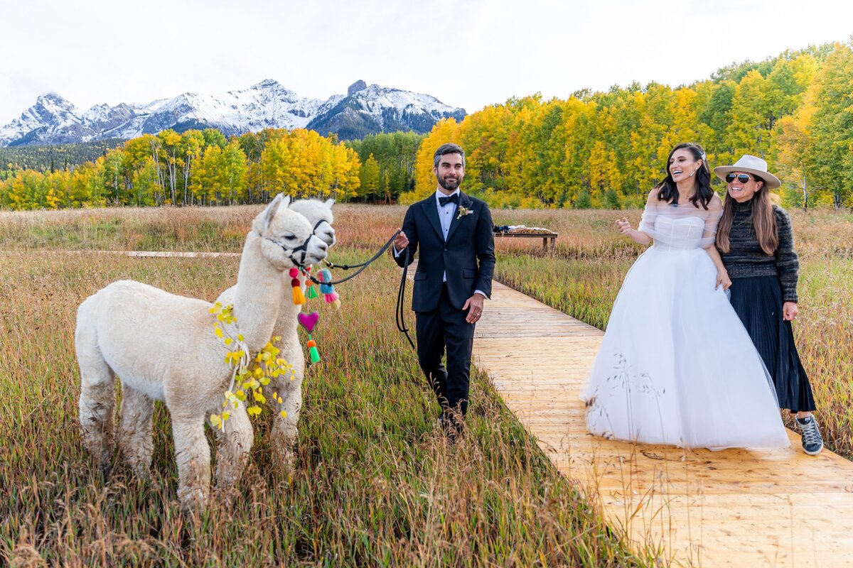 TellurideWeddingPhotographer-AbieLivesayPhotography-SoireeTellurideWeddingPlanner-LaurieJon-731