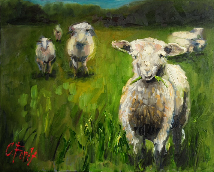 SheepLR
