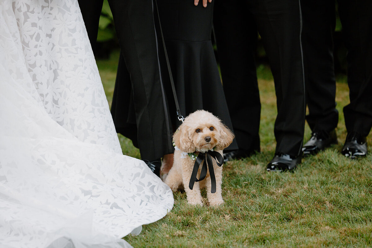 TheStevensEstatewedding38
