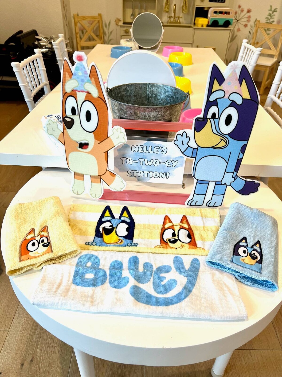 bluey-themed-party-denver-co (21)