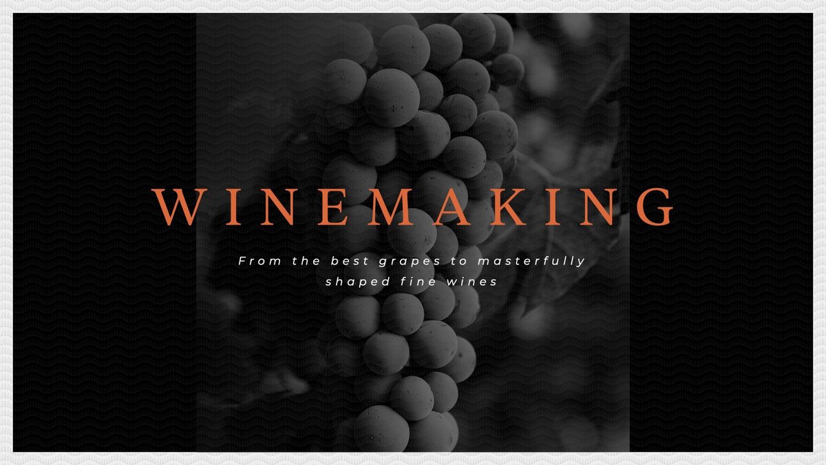 5BCYT5DCYT_Wine_Brand_Presentation_January_16_.011