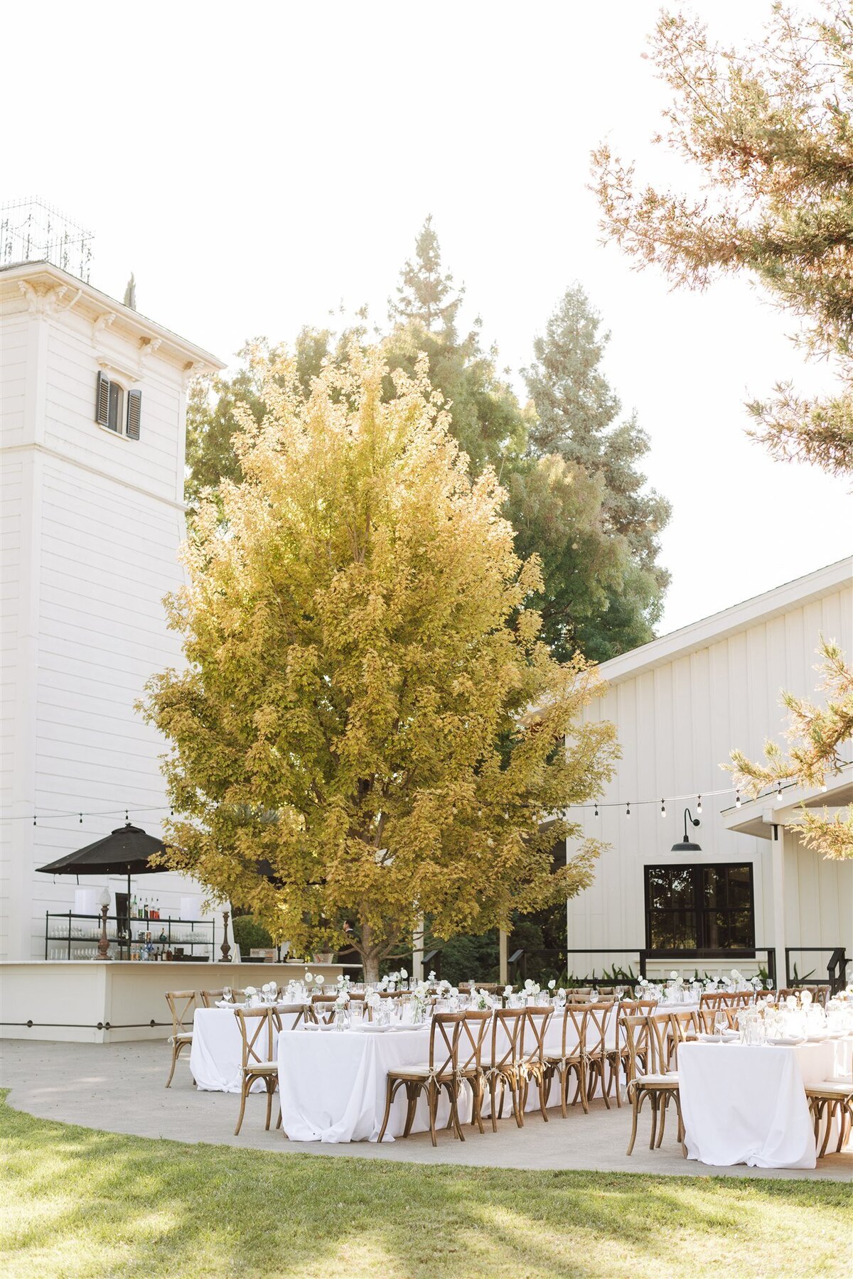 park-winters-wedding-shauna-clay-ashley-carlascio-photography-0432
