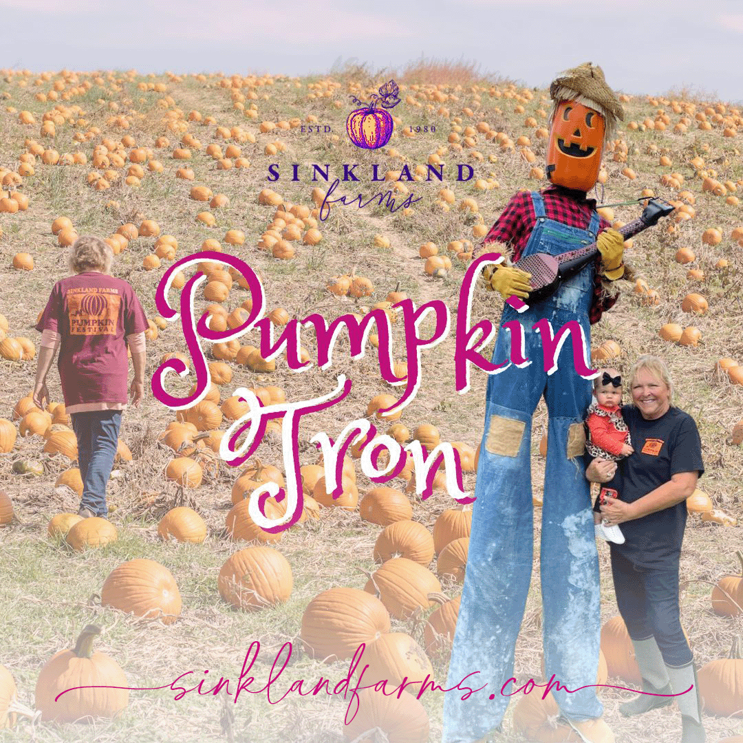 Pumpkin-Tron_Sinkland-Farms_Pumpkin-Festival_SM