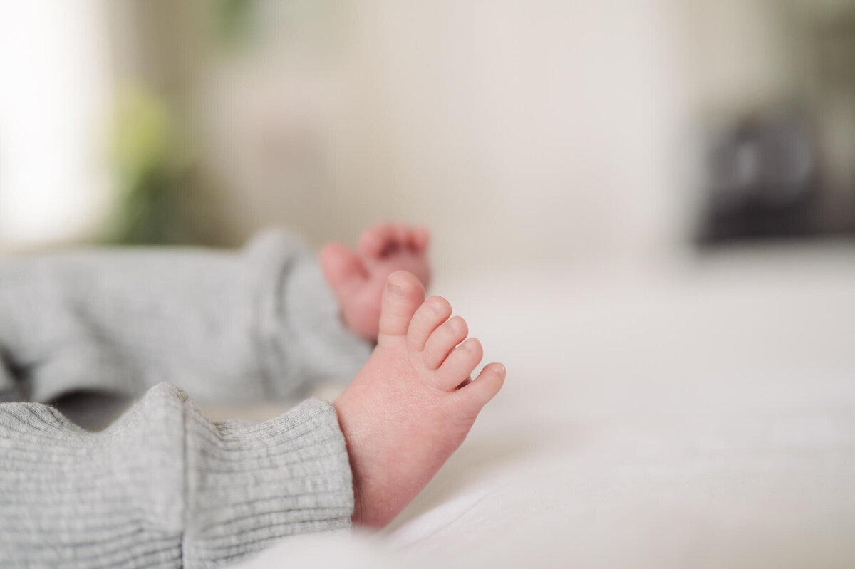 Twin newborns posing for newborn photos