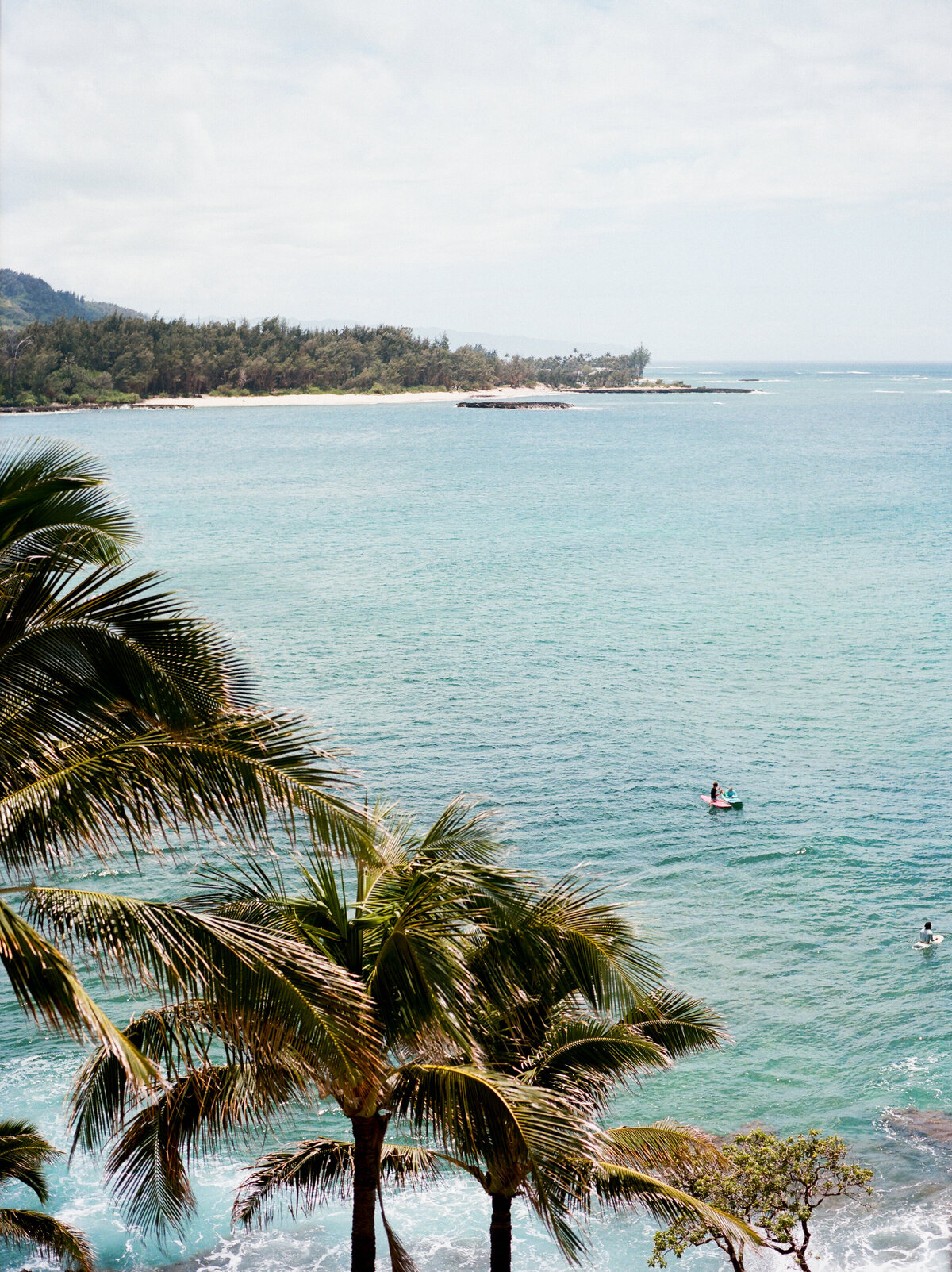 Surfers catching waves at Turtle Bay, captured in a breathtaking landscape shot — by Kate Winters Photography.