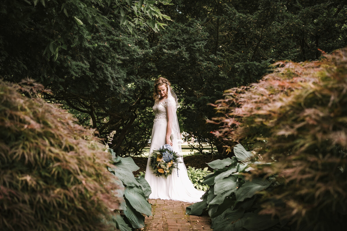 A wedding photographer for the dreamiest of weddings. Let's talk about your special day, I have packages for everyone. Buffalo and WNY wedding photographer specialized in dreamy, ethereal, colorful wedding portraits