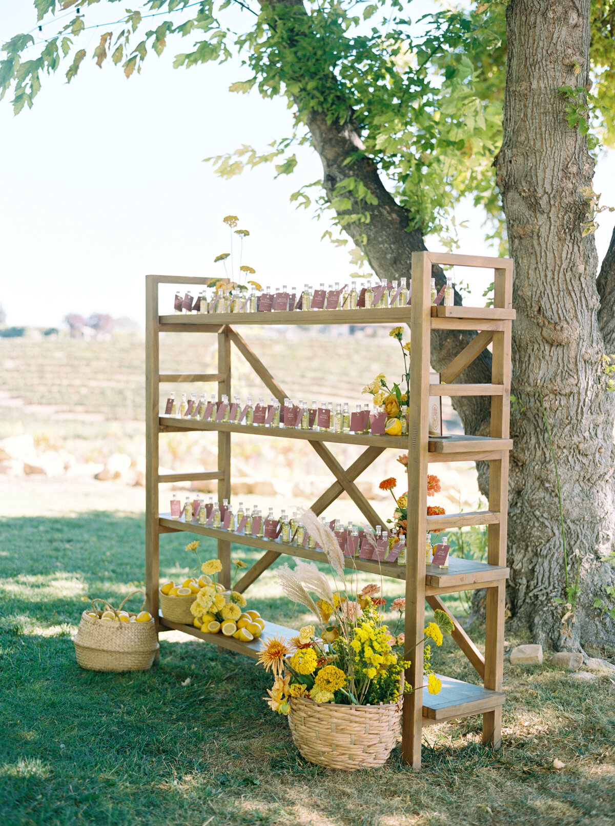 Hammersky_Vineyards_Paso_Robles_Wedding_068