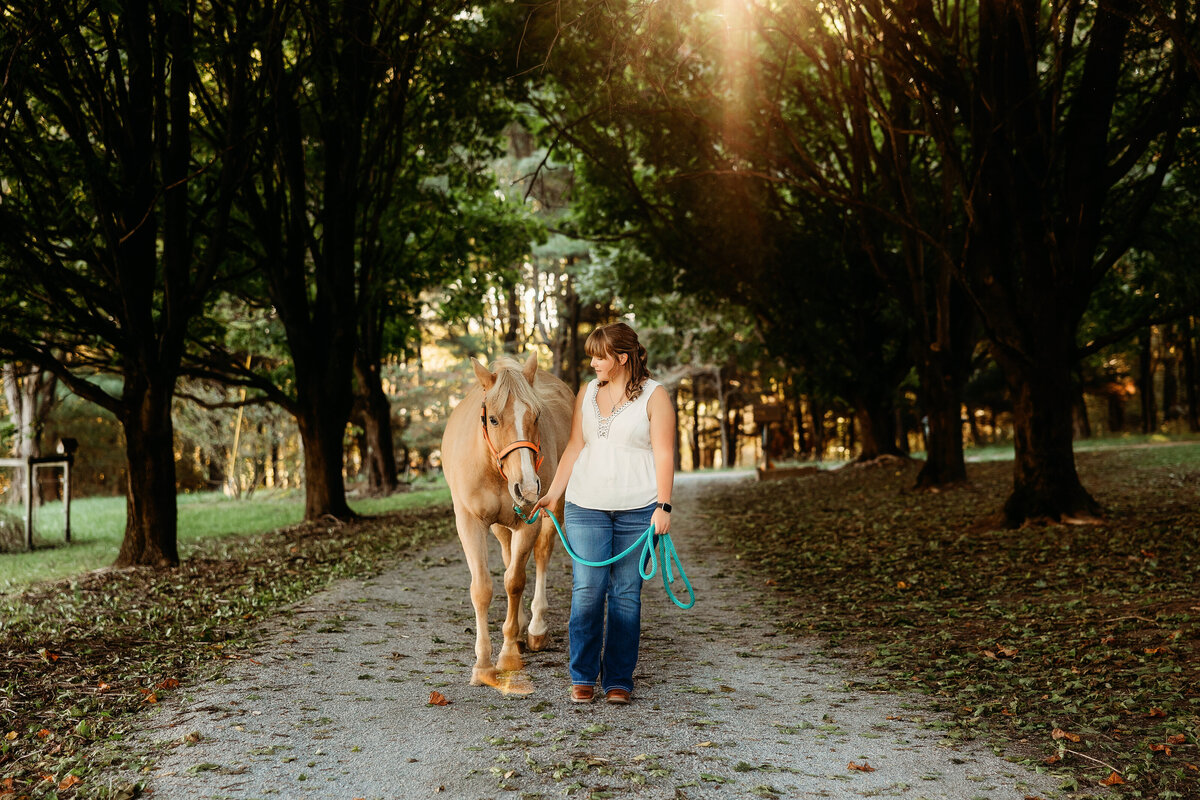 louisville ohio equestrian photographer, louisville ohio senior pictures