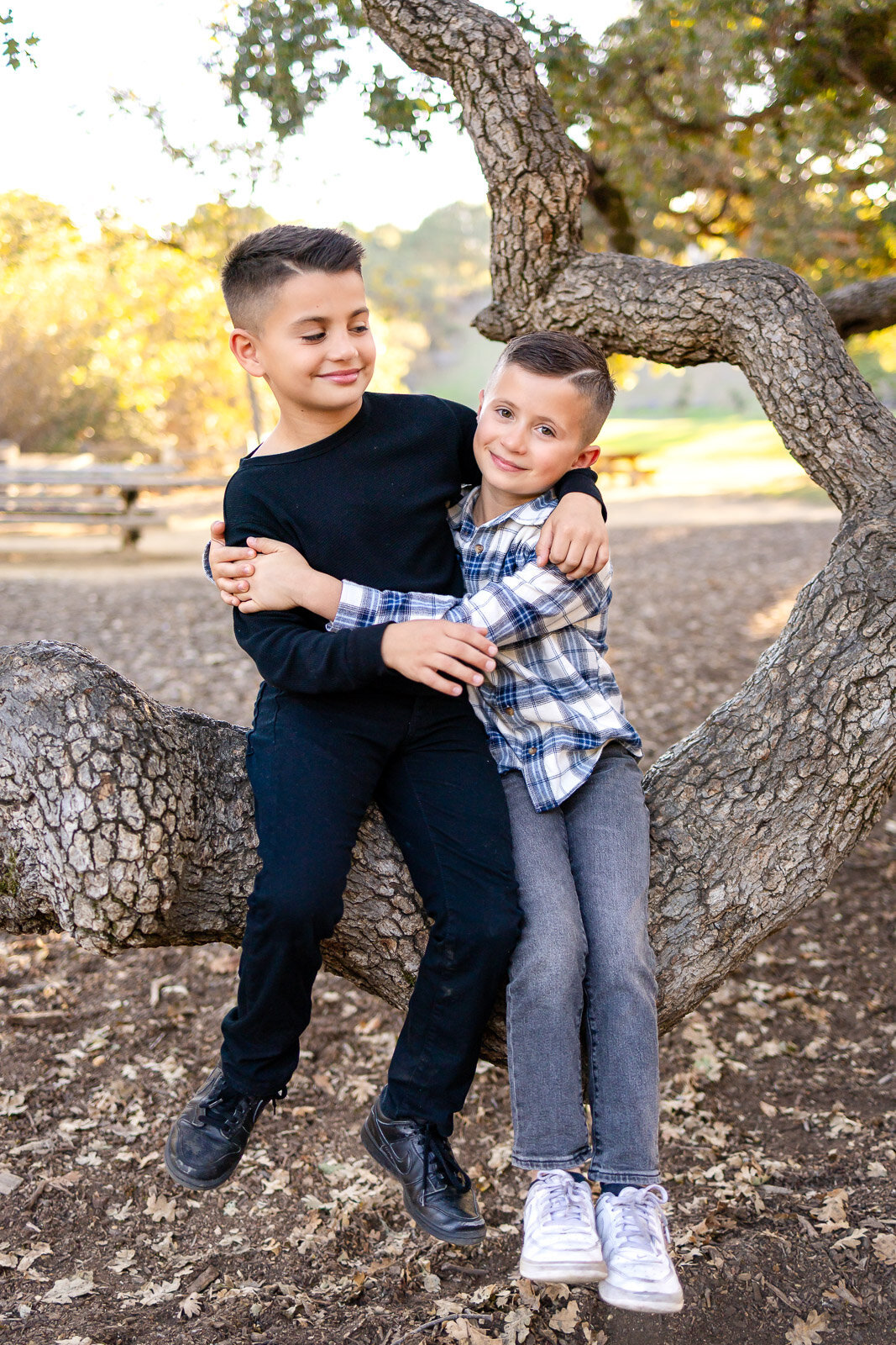 Two brothers sitting together on a curved tree branch at Laurelwood Park San Mateo featured in the Bay Area Family Portfolio, Ellobelle Photography