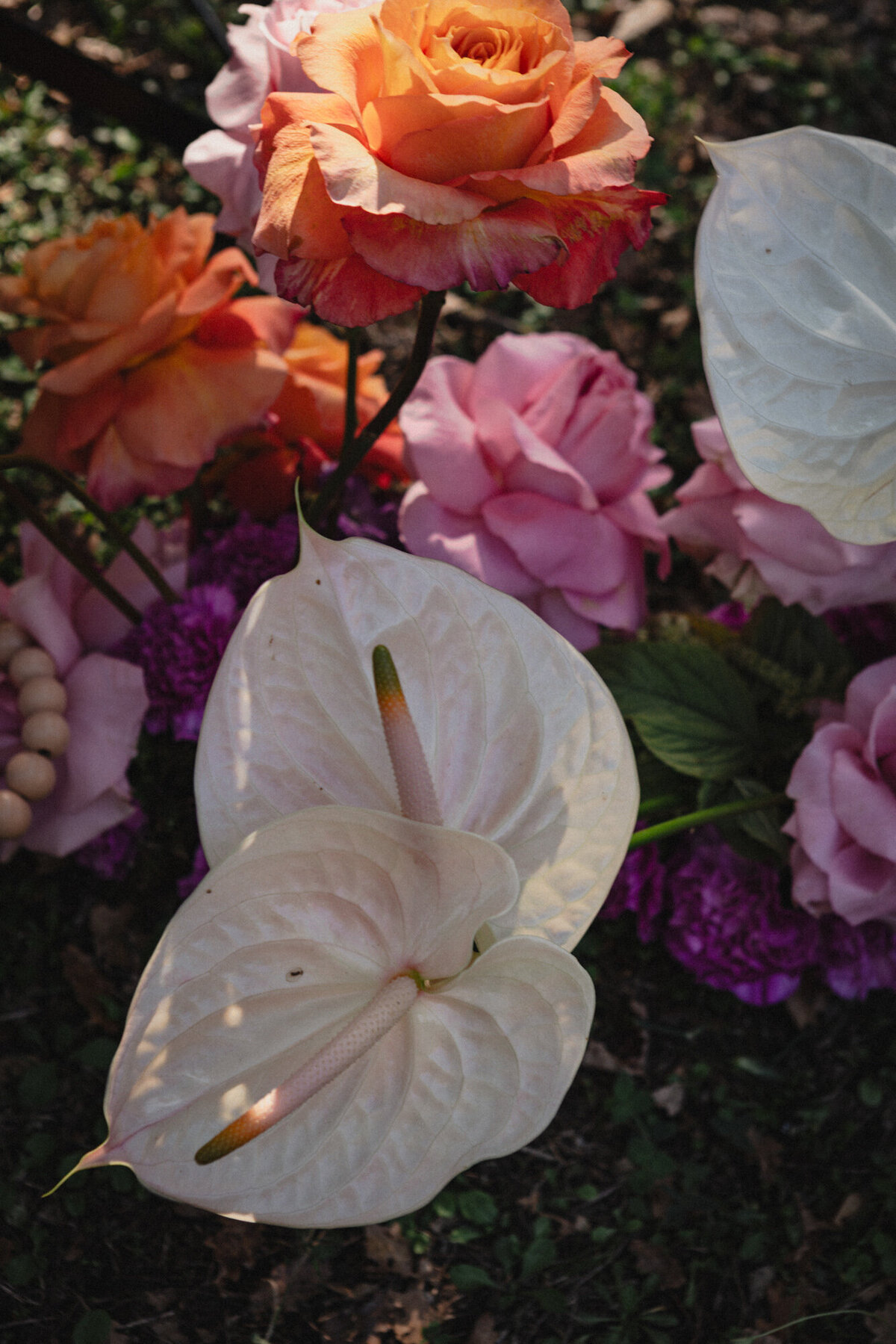 AM-Editorial-20251004-058