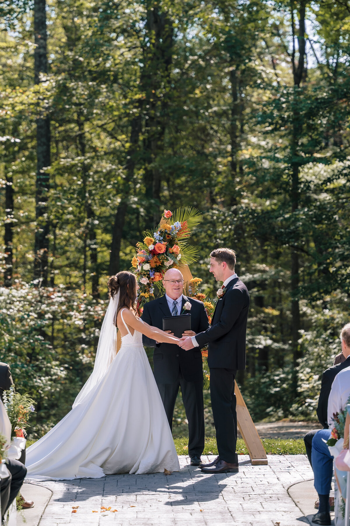 Alex segall Photo378