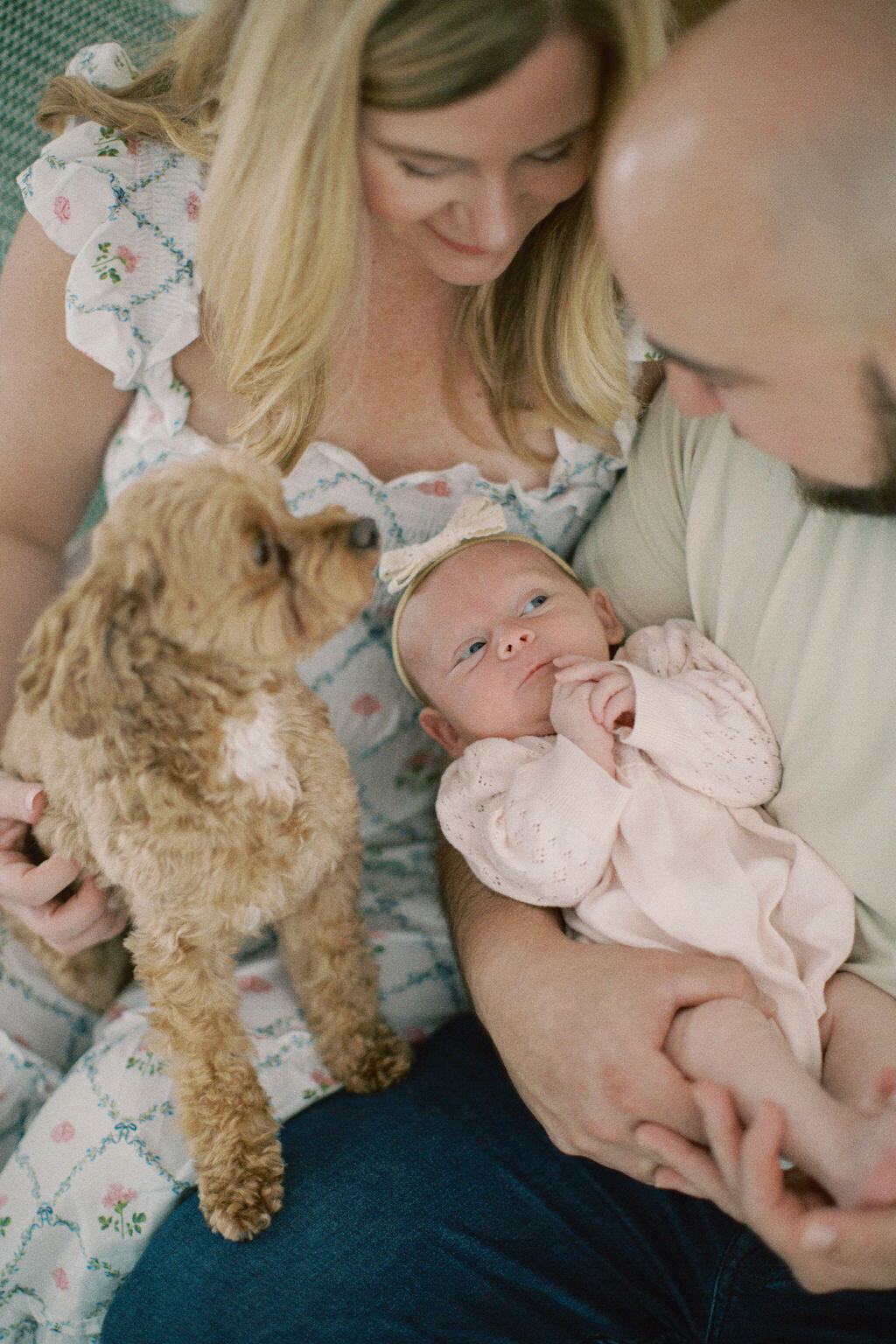 newborn-7806