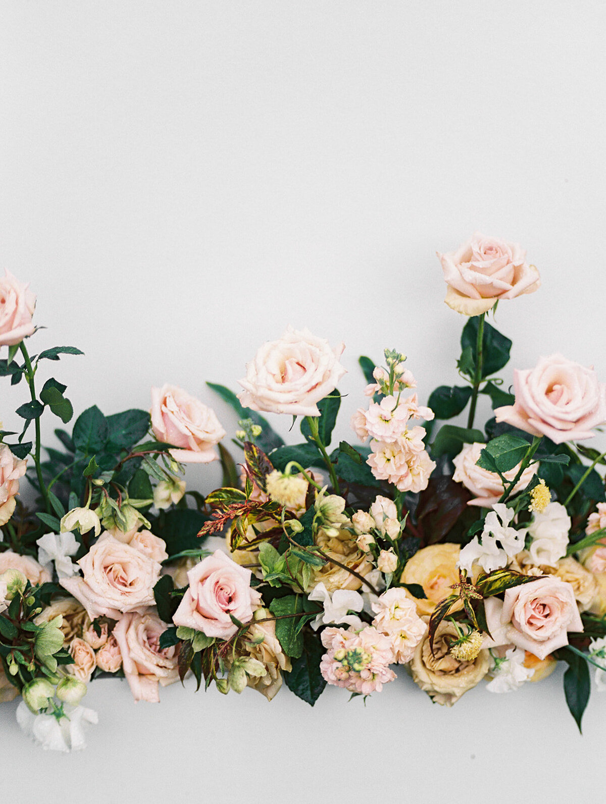 PeterloonEditorial_MarissaBellePhotographyFilm-35