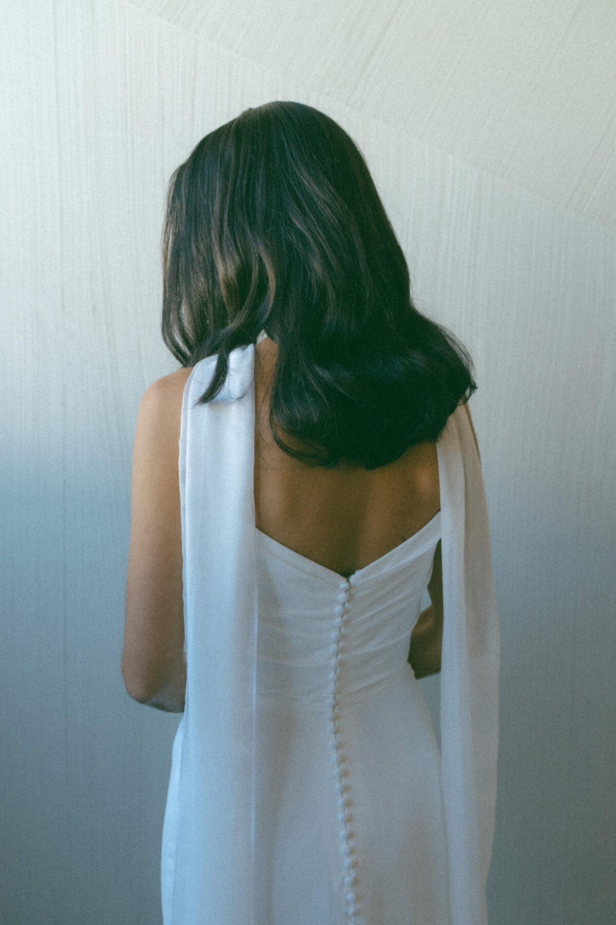 Chicago Wedding Photographer
