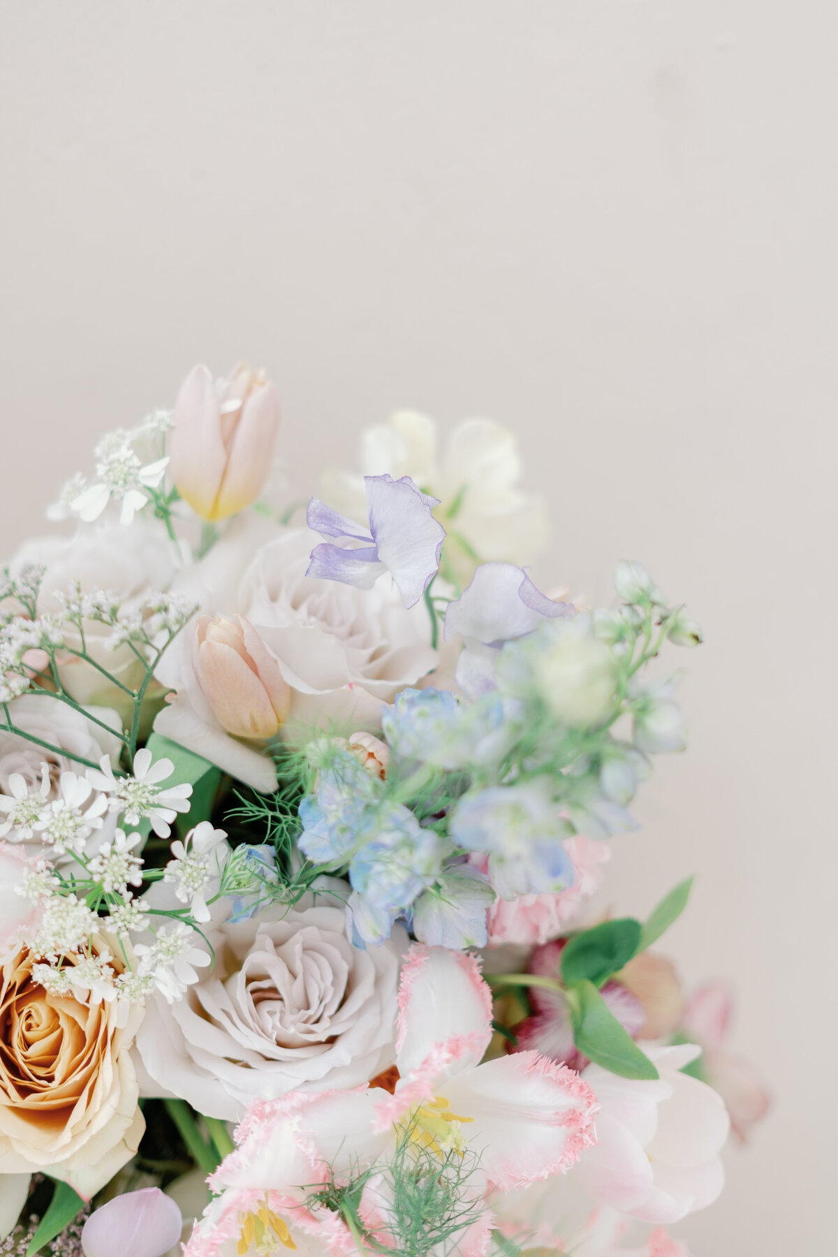 Tracey Davies Photography