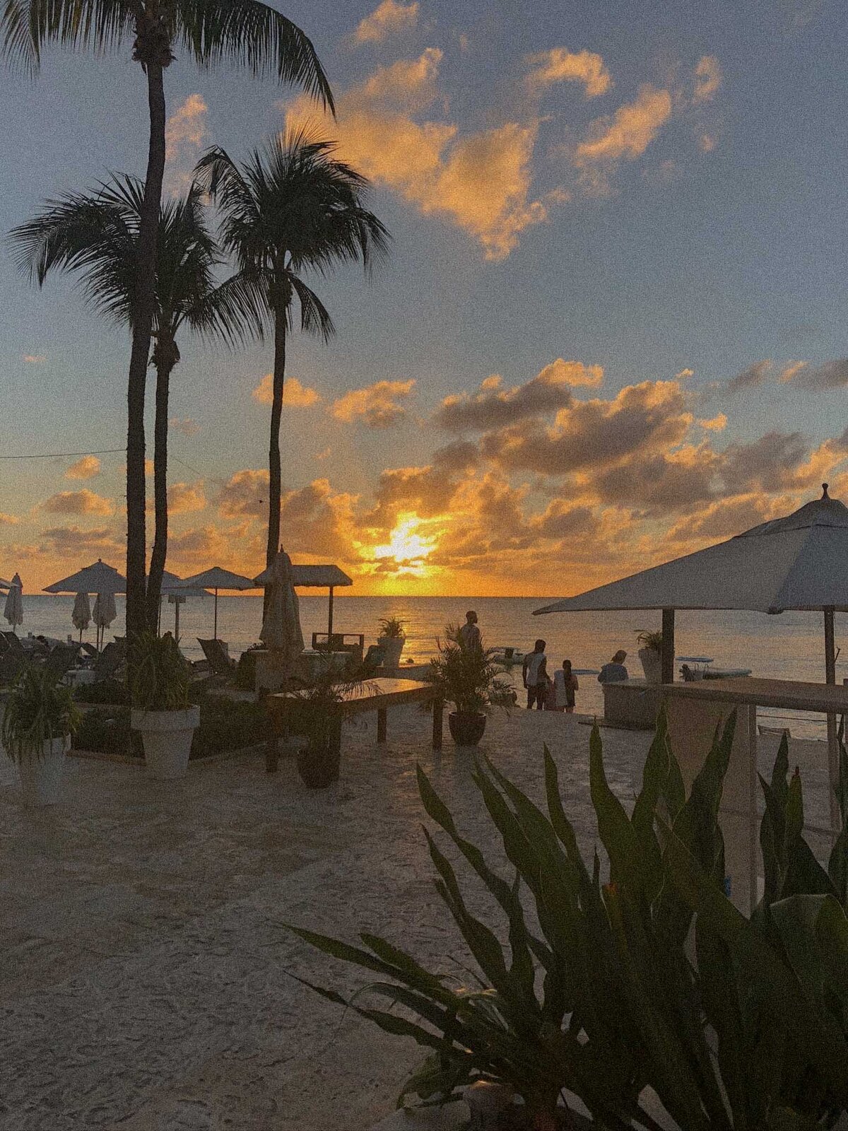 IMG_1345