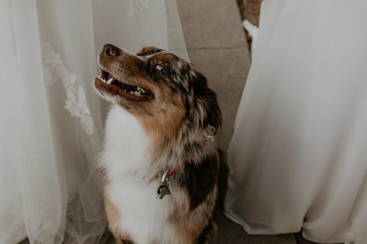 san-lorenzo-canyon-elopement-new-mexico-15