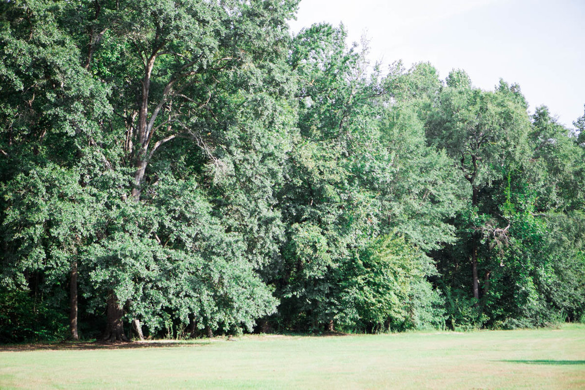 Windwood_Equestrian_Hunter_jumper_dressage_breeding_barn_farm_alabama-9918