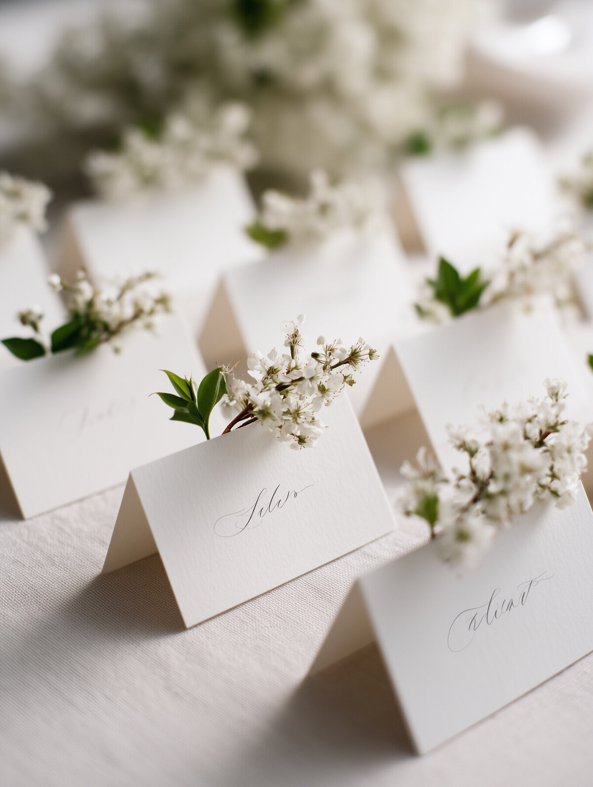 Wedding Bliss Stock-19