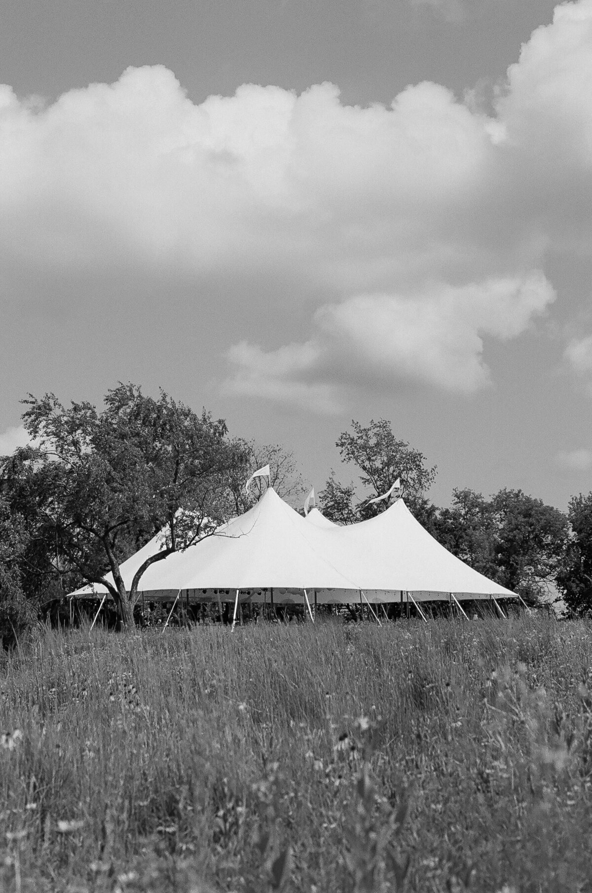 Haley-Steven-Wedding-Previews-Mariah-Jones-Photography-103