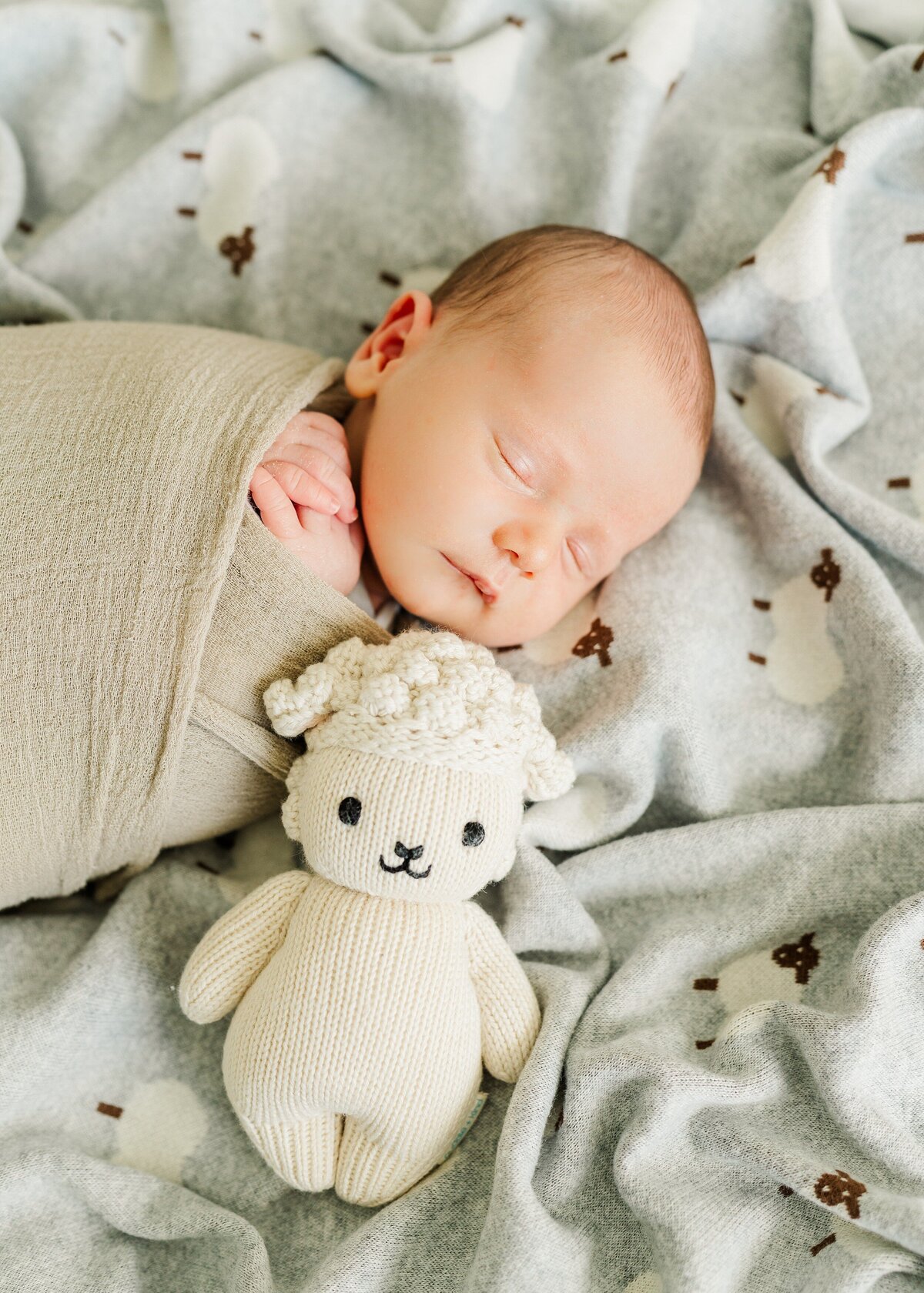 Northern Virginia Newborn Photographer Melissa Sheridan Photography_0053