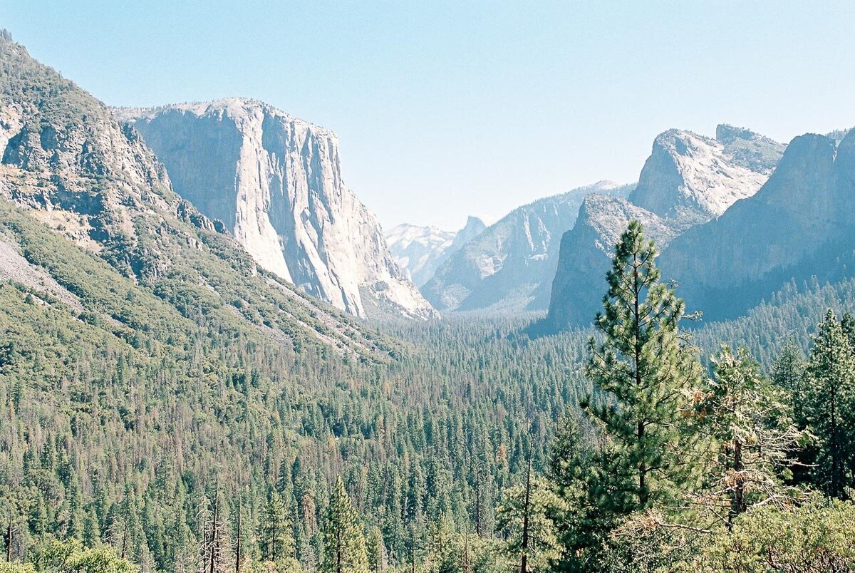 Yosemite National Park Elopement-8