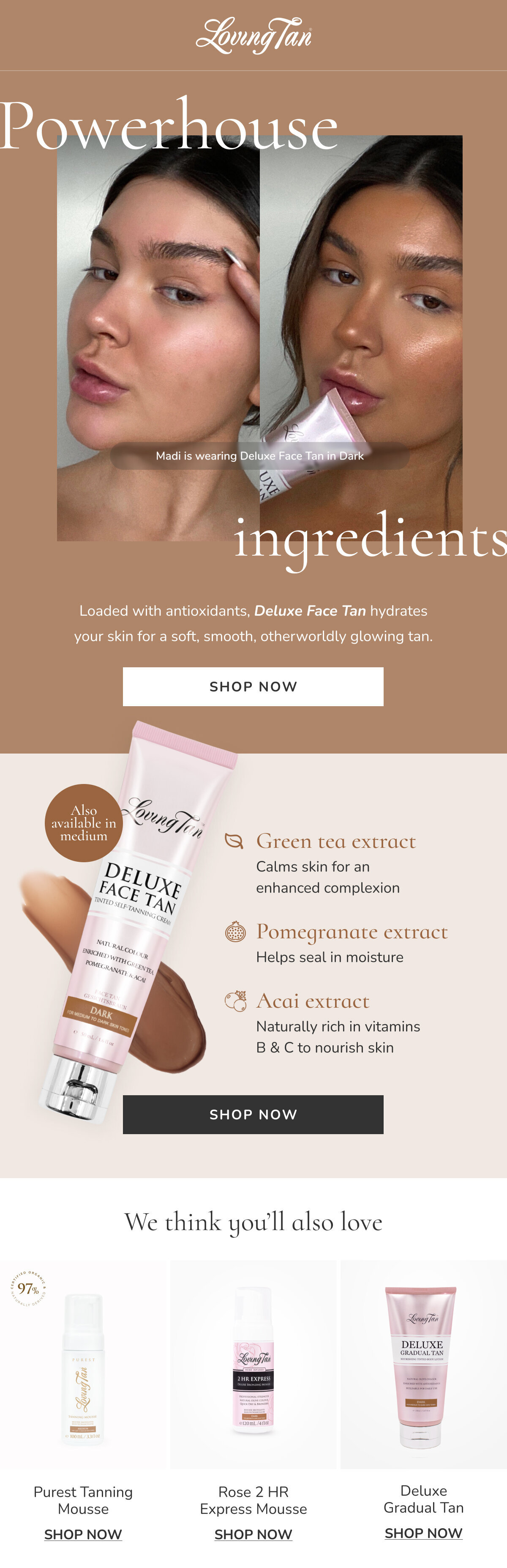 240817_LovingTan_Ingredients_Spotlight_Green_Tea