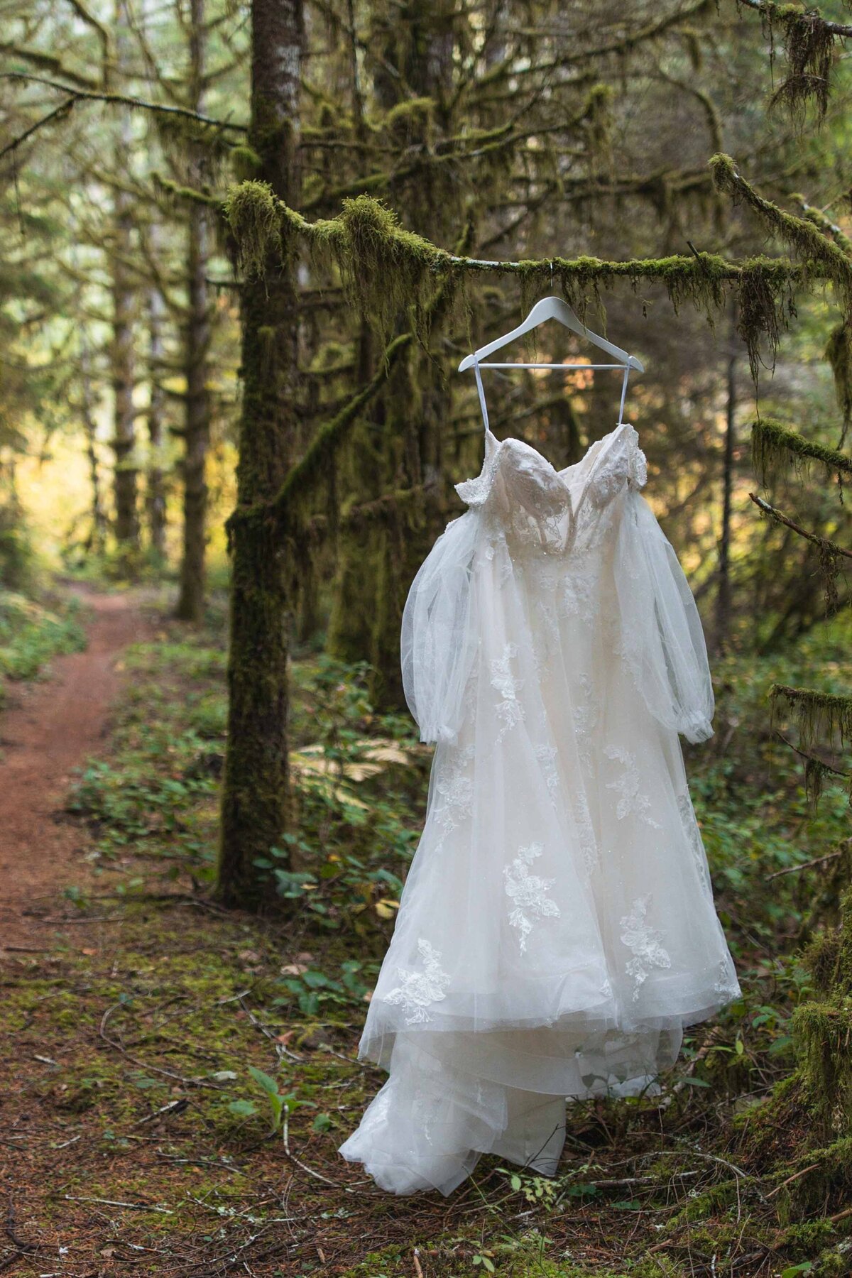 silver-falls-state-park-wedding-forest-36