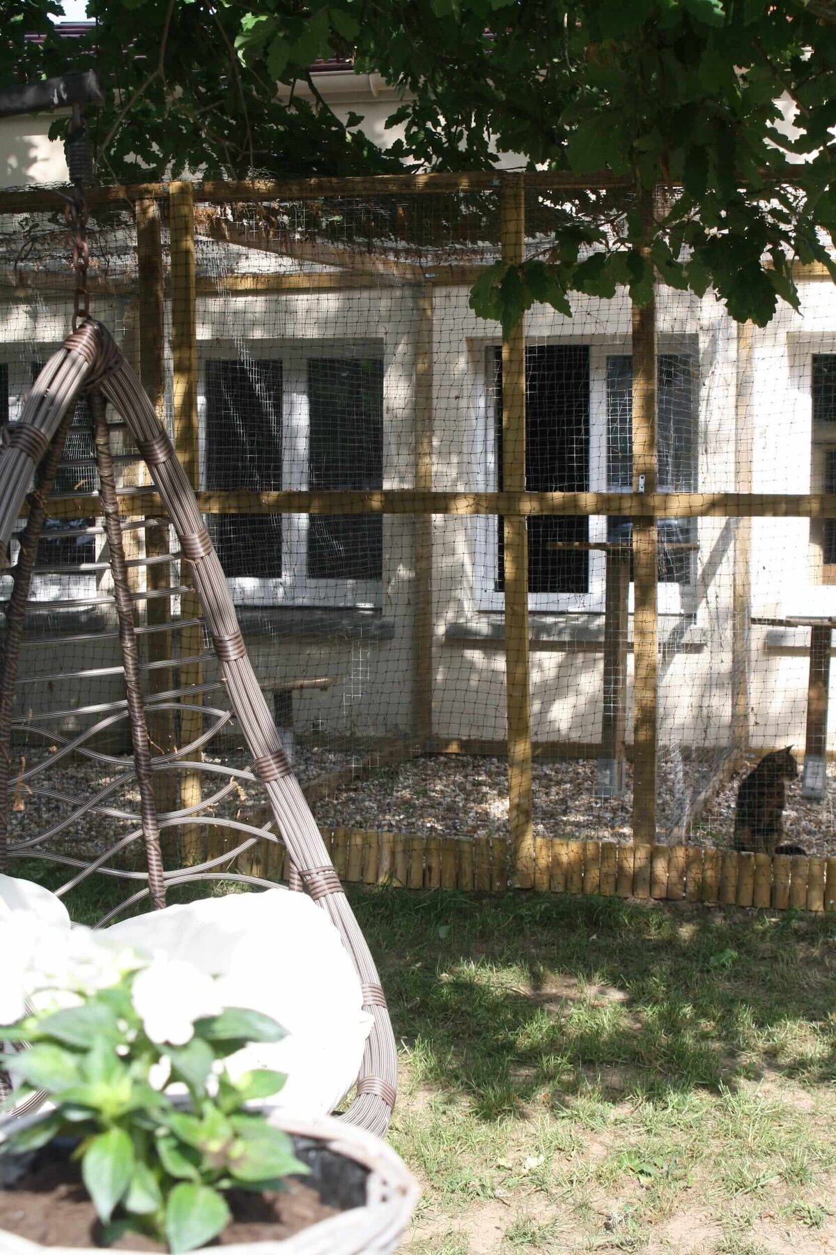 Façade du bâtiment de la pension pet's home avec les jardinets extérieurs privatifs