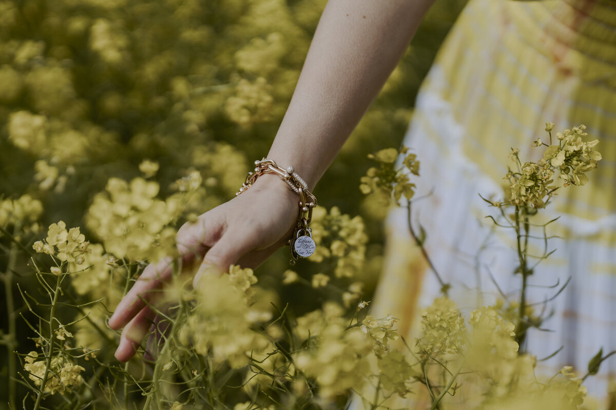 the bride's hands touching the canola flowers