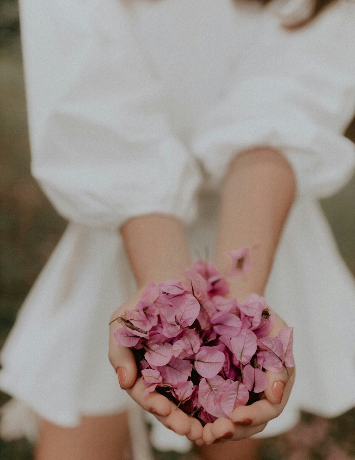 Création sans titre (4)