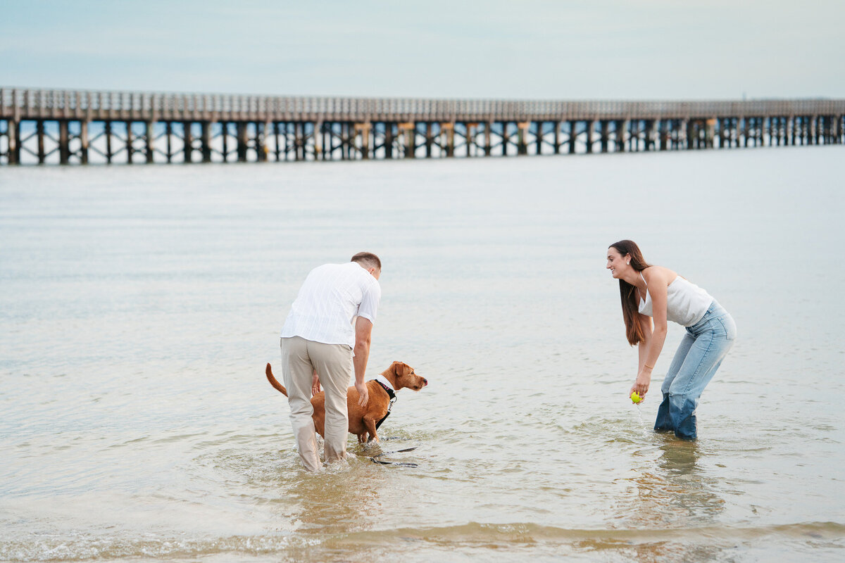 Romantic Duxbury Beach engagement portraits including playful shots with the couple’s dog