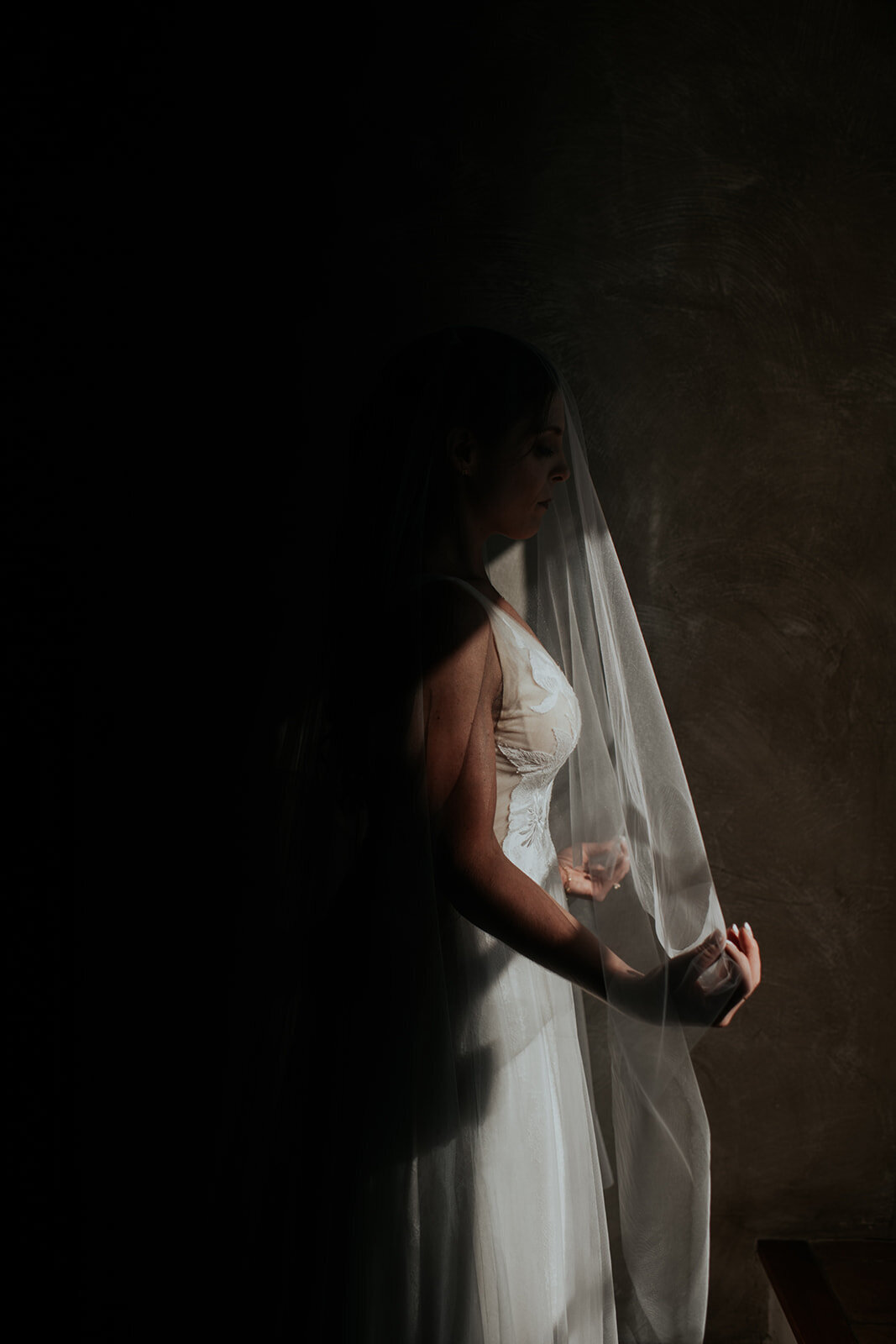 Vanessa+Daniel.Married.TonieChristinePhotography-532