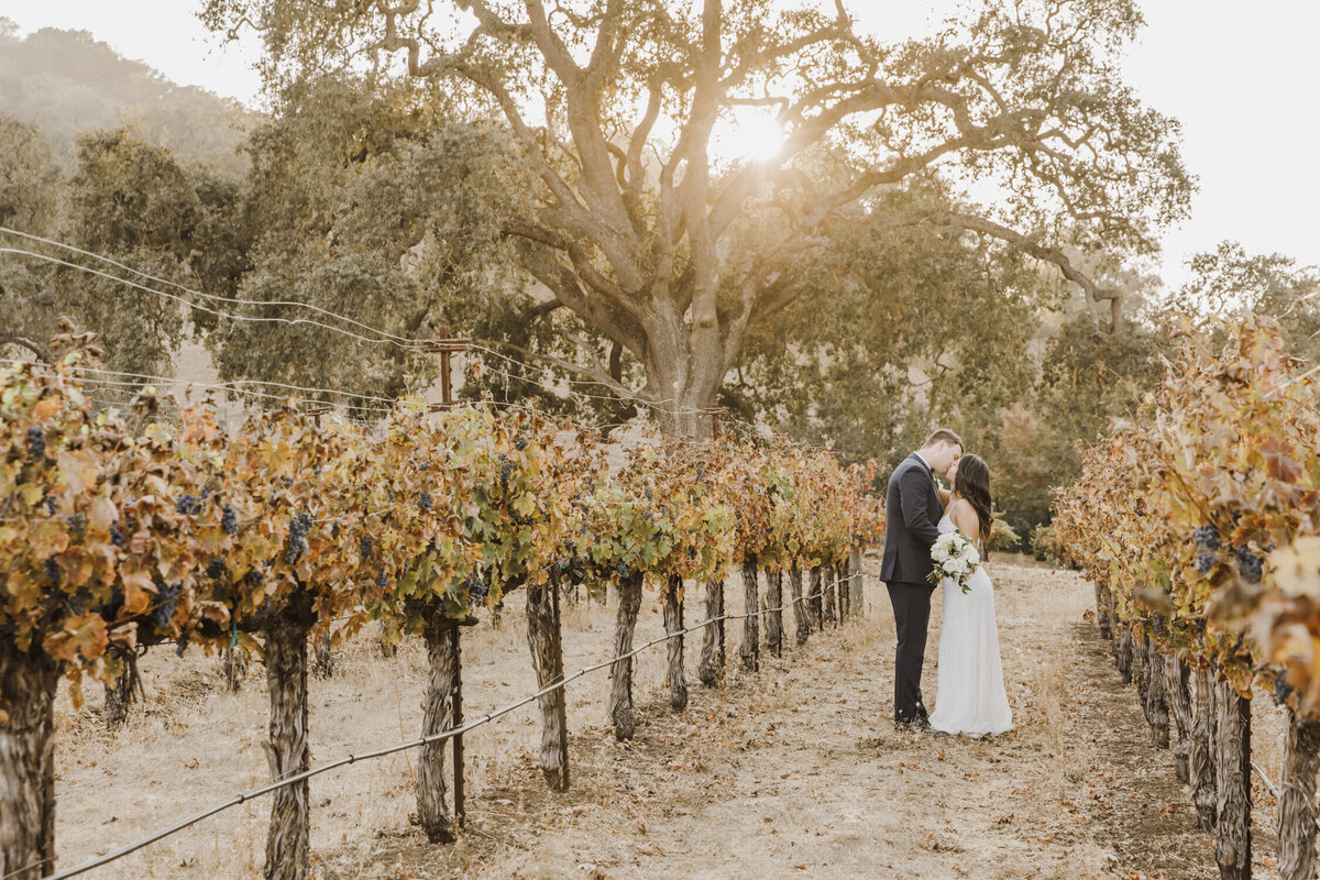 PERRUCCIPHOTO_CORDEVALLE_ELOPEMENT_26