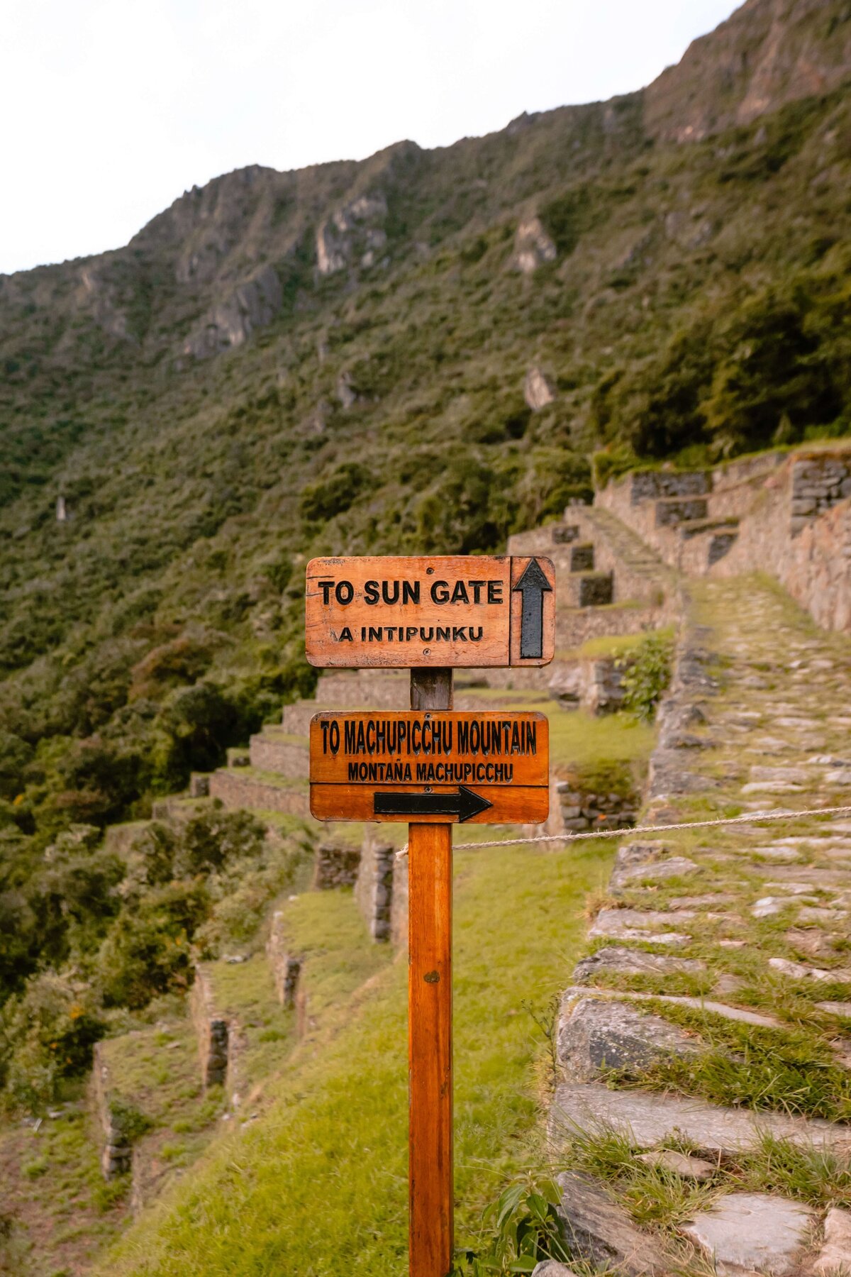 meredith-ewenson-salkantay-trek-peru-legit-trips-sun-gate-machu-picchu
