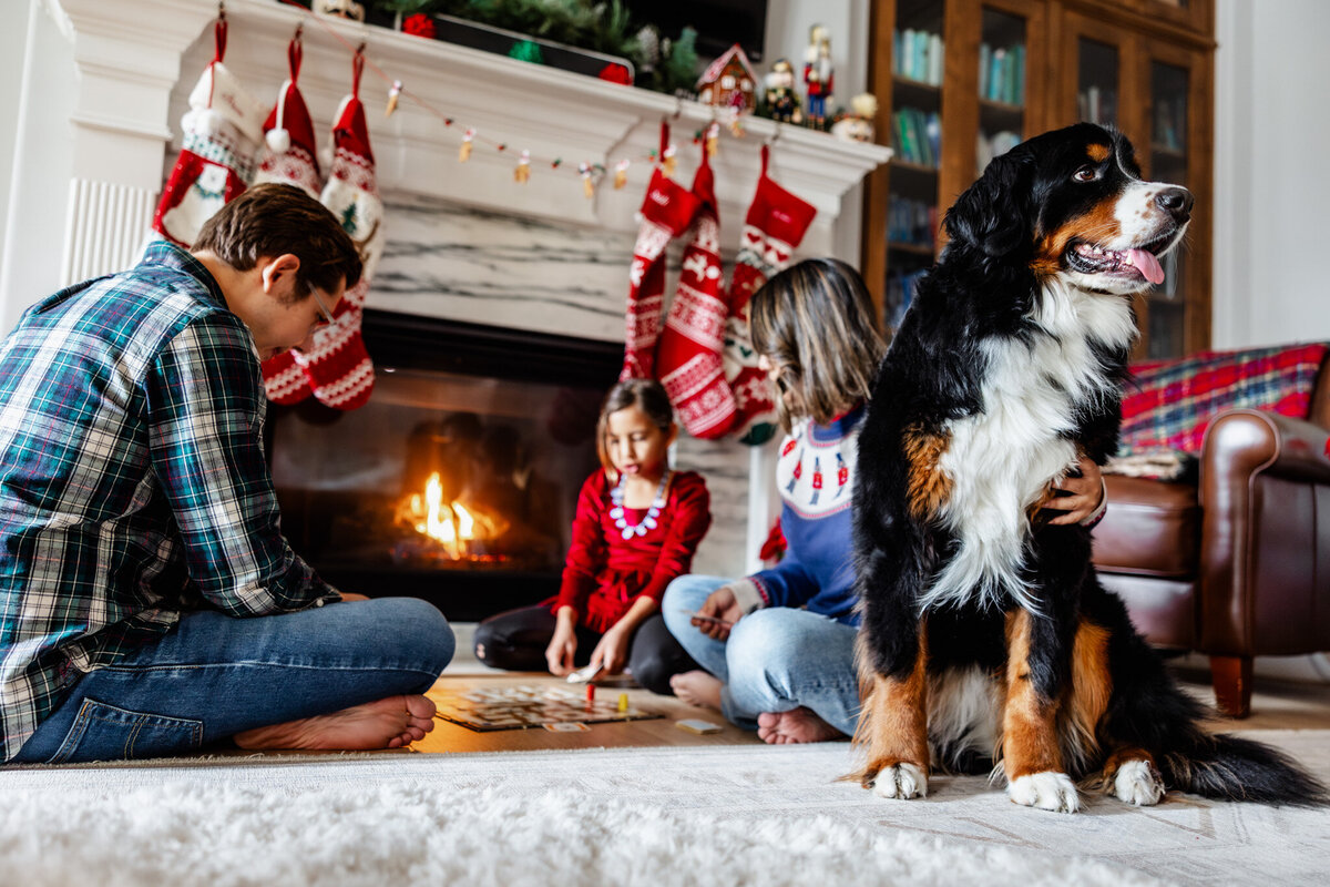 houston-christmas-mini-sessions-2024_135
