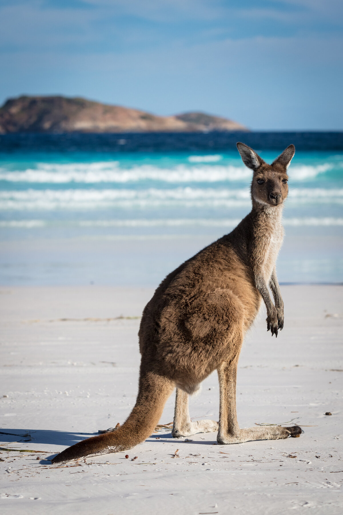 Weindling-World-Travel319331843