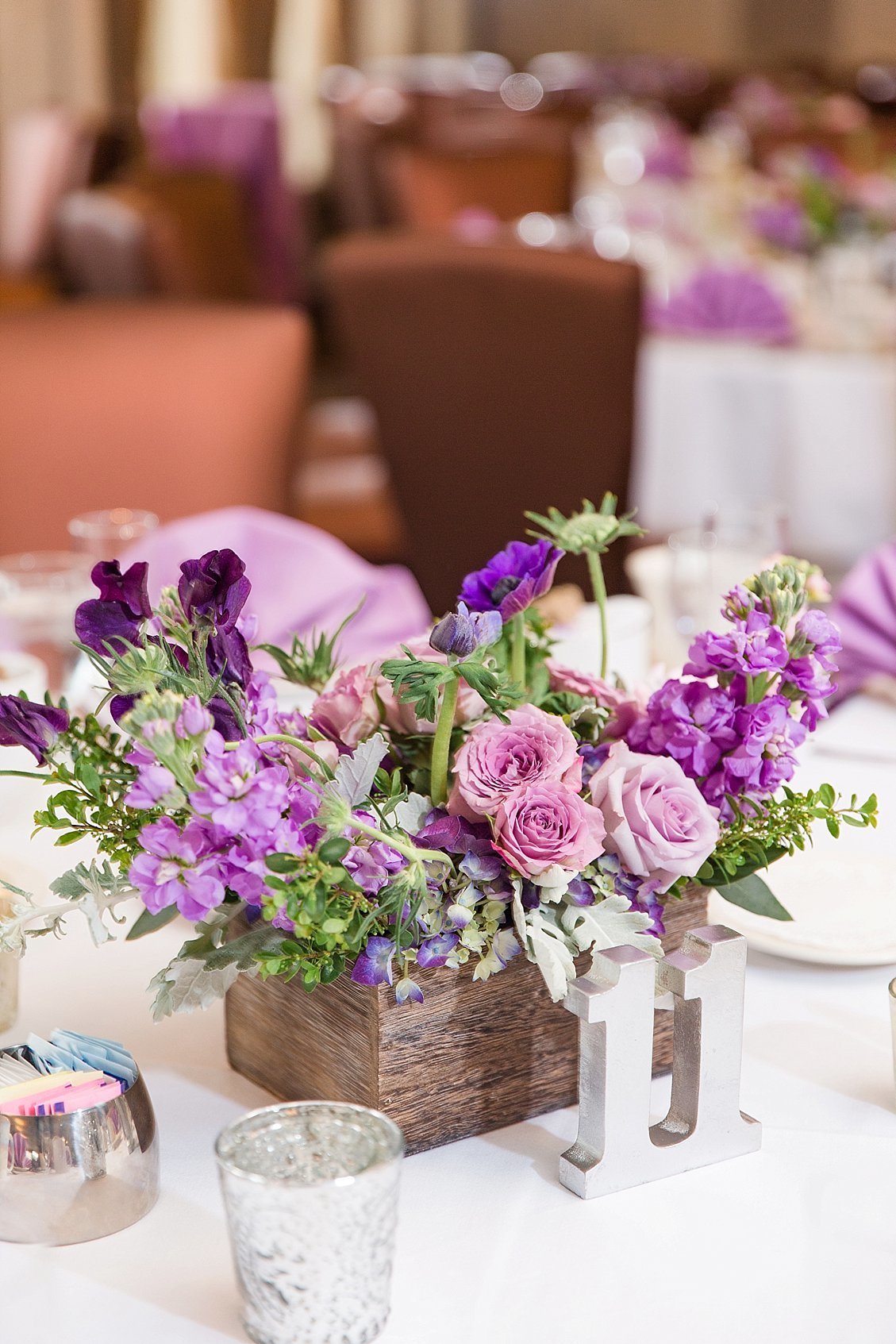 dylan-2018-03-23_0100