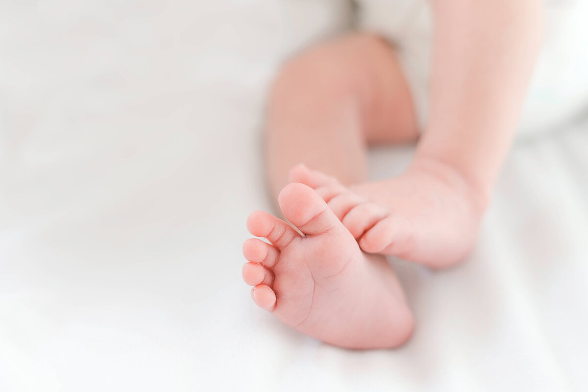 Small tiny feel and toes of a newborn baby in studio. Captured by Collingwood Newborn Photographer Jennifer Walton