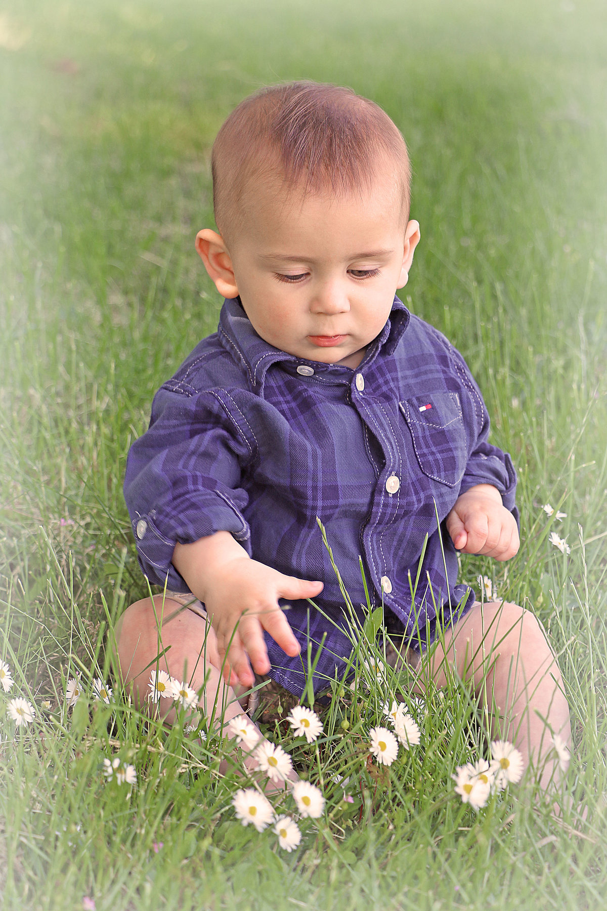 eliasincolorinthegrass