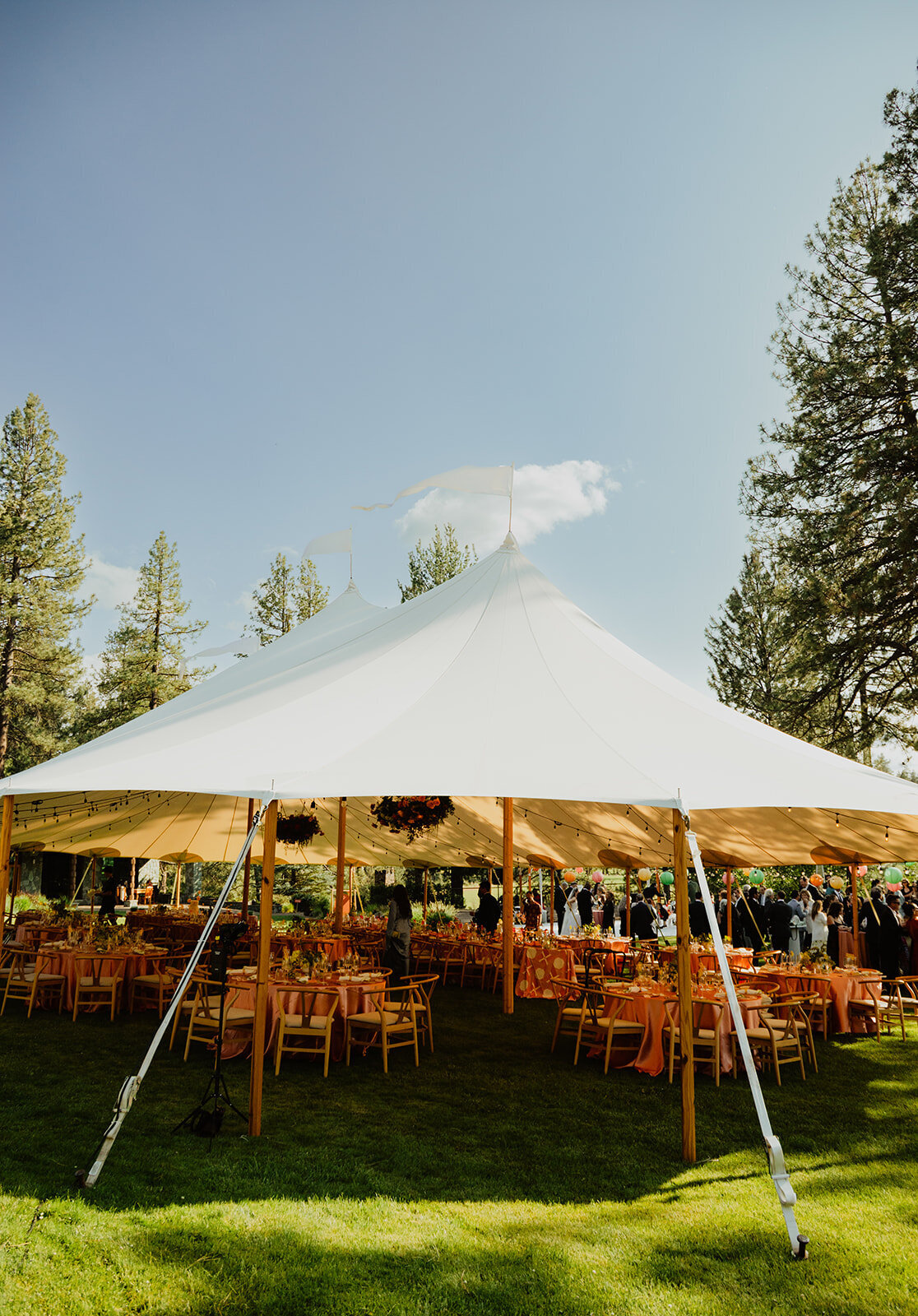 IsolaHenryCaffee_DavidAnnWeddings-1250