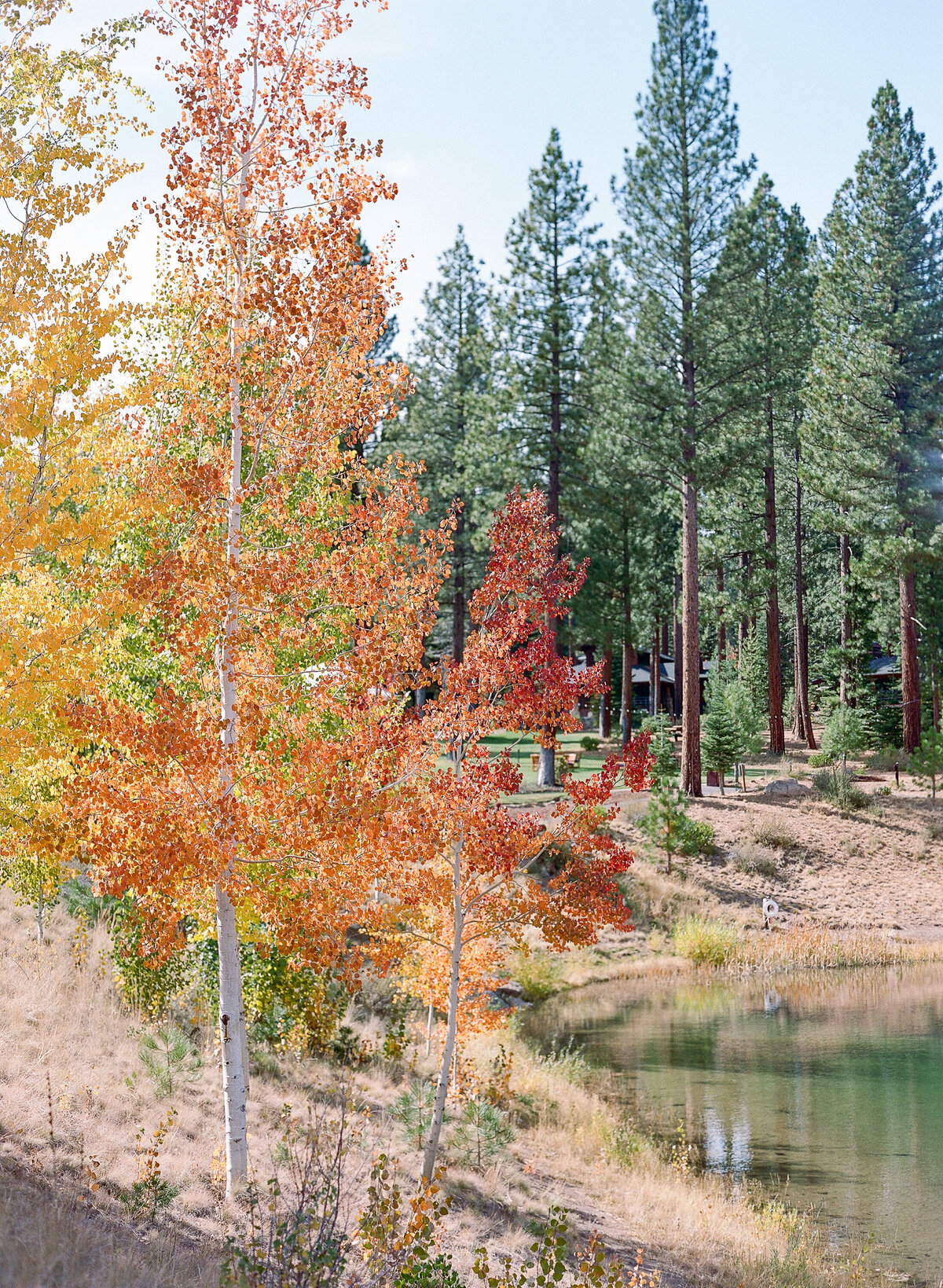 Martis Camp Wedding-12