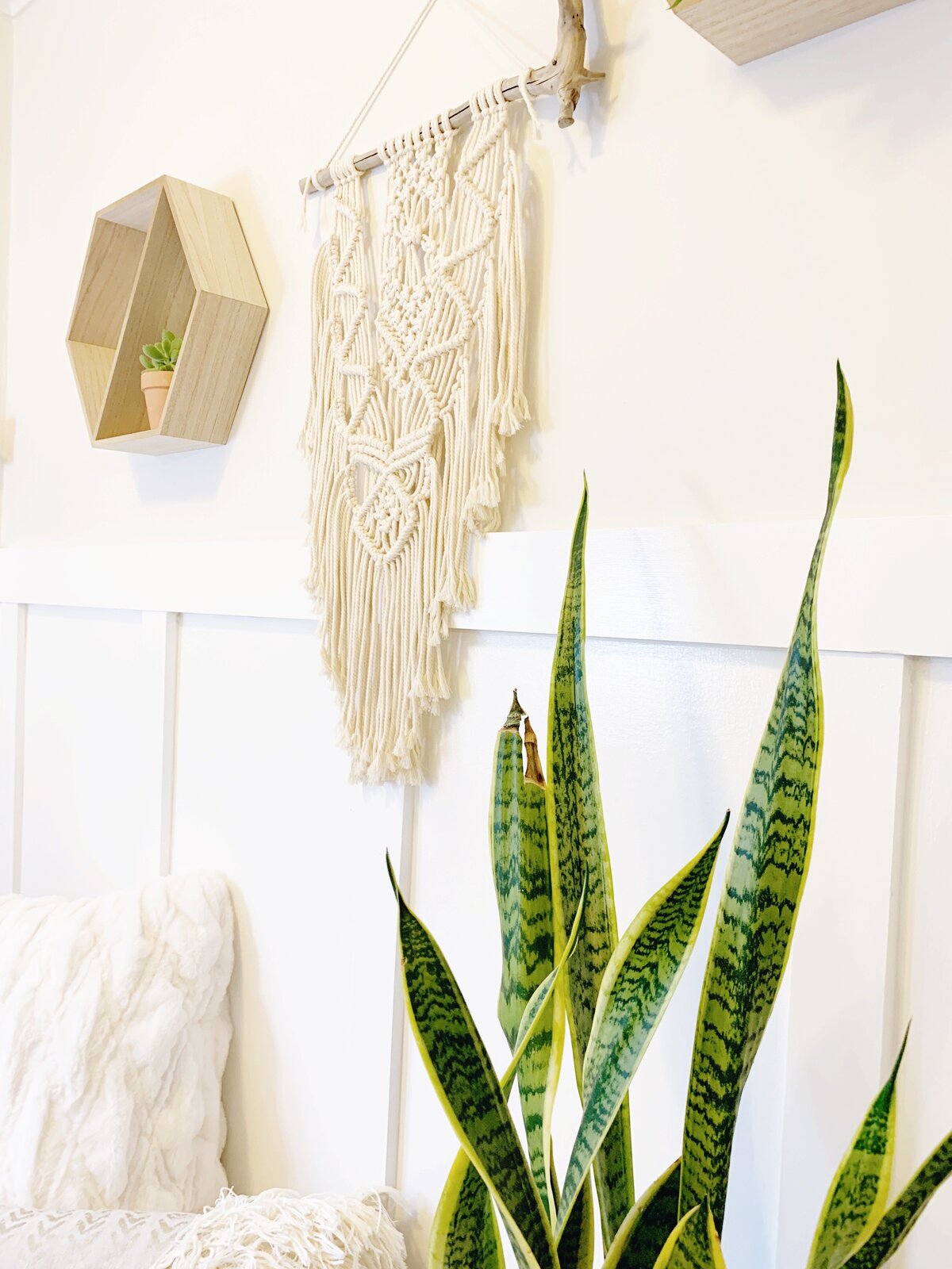 wall decor showing hexagon shelf and yarn wall hanging next to tall snake plant