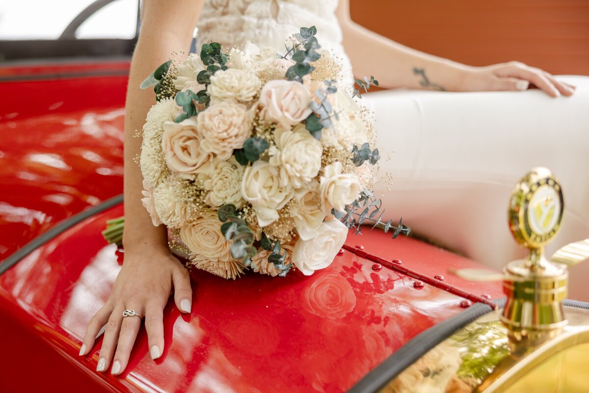 Taylor & Jenna Wedding Picture - DVX10520_