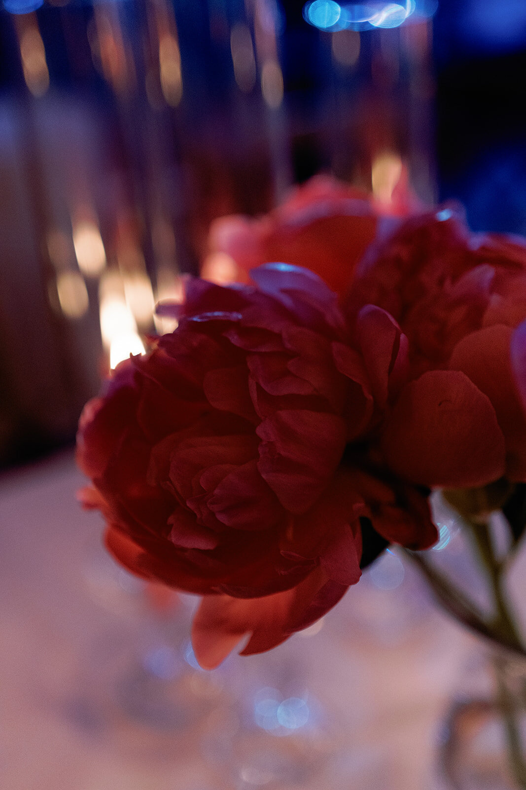 Close-up of vibrant pink peonies in soft candlelight during Callie & Hayes’ romantic Burritt on the Mountain wedding reception.