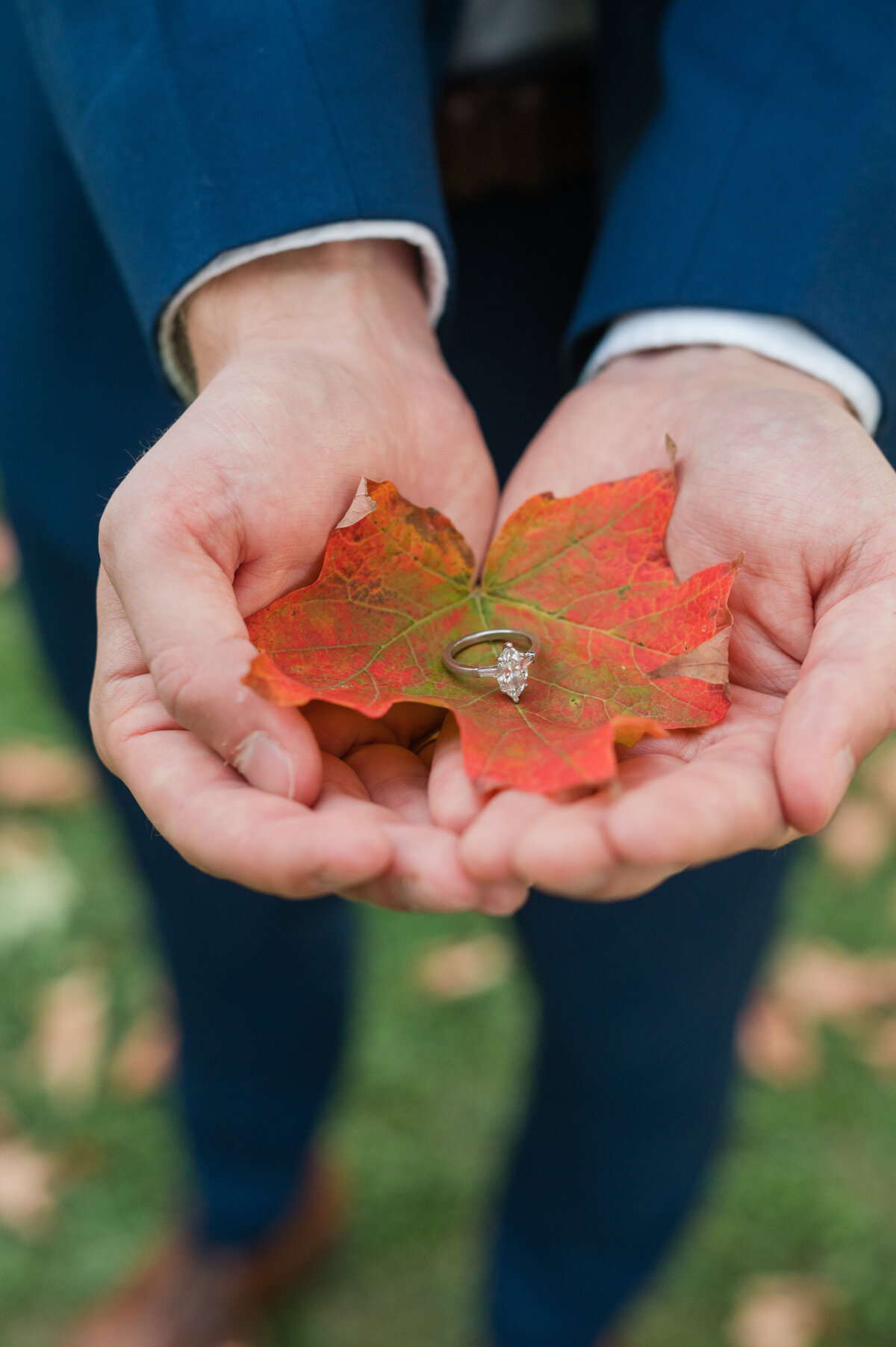 bronte creek engagement 29