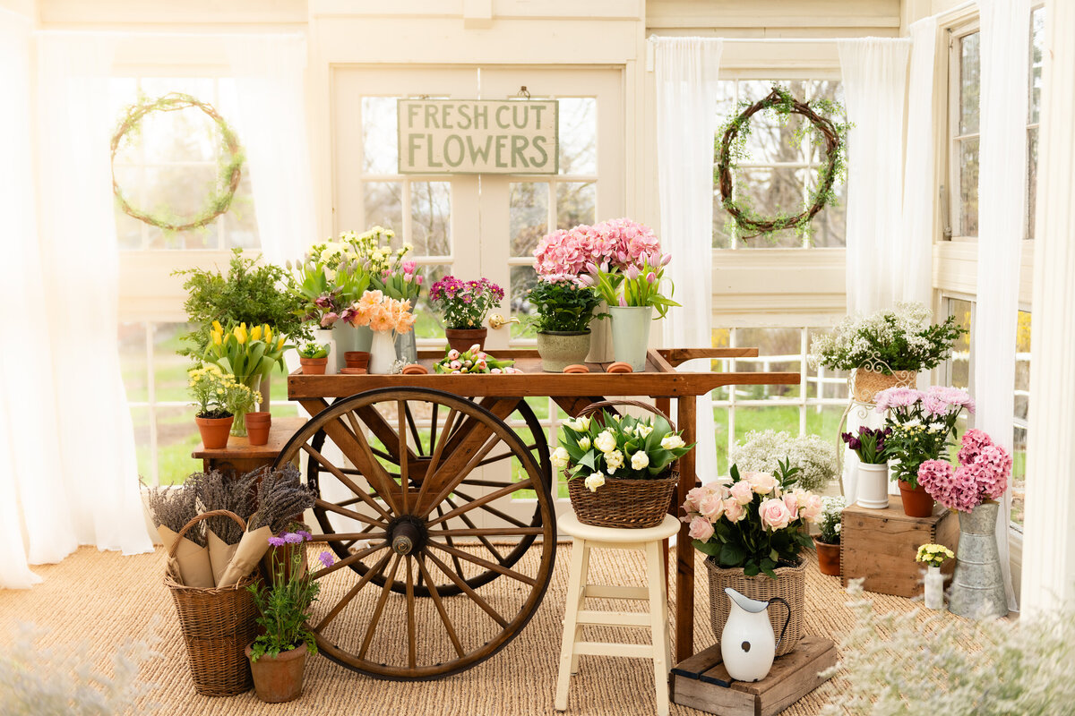 Rustic spring flower cart portrait display inside greenhouse in All Who Wander Flower Farm in Dundas Ontario