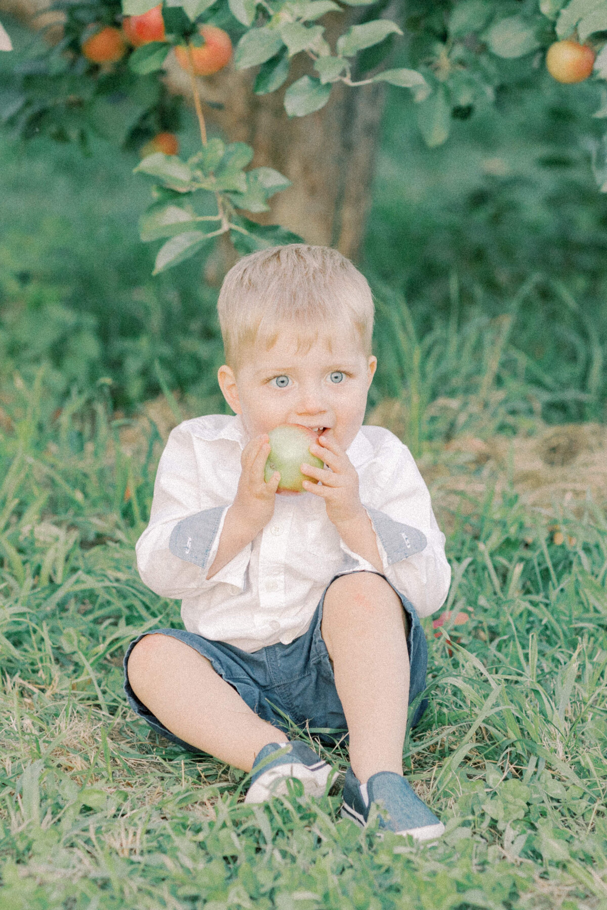 Boston-Family-Photographer13