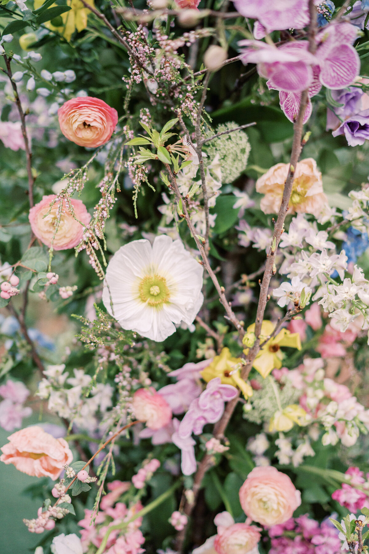 mckenzie and neeraj 0548